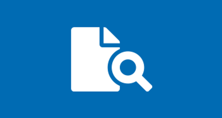 File Search Icon