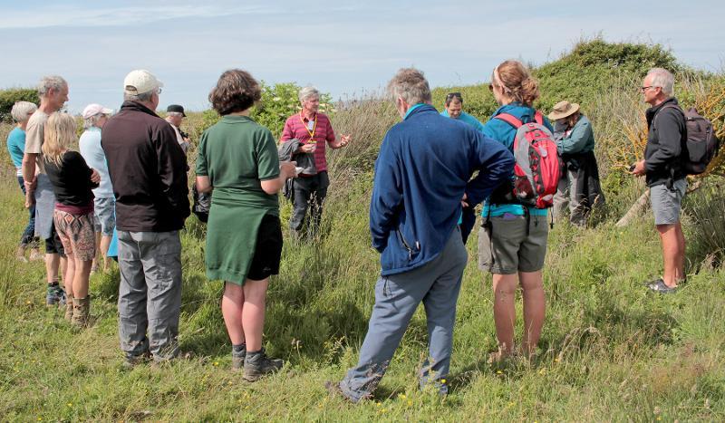 BioBlitz Image from 2018 Tom Hynes Shrubs and Rushes Walk