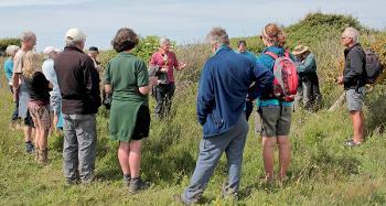 Group of volunteers being briefed by the team