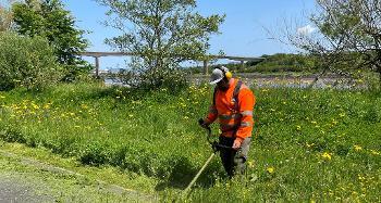 member of the torridge grounds maintenance team, wearing orange hi vis clothing, a hat and ear defenders, strimming the grass