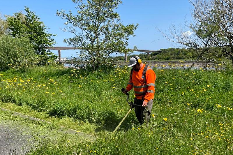 member of the torridge grounds maintenance team, wearing orange hi vis clothing, a hat and ear defenders, strimming the grass