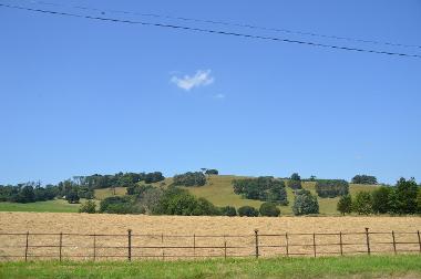 LCT 1D Historic parkland and wood pasture at the Castle Hill estate. 