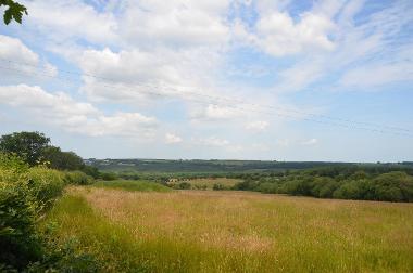 LCT 1F View towards Great Claw Moor conifer plantation.