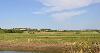 DCA 58: View east from Velator Quay towards warehouses at Chivenor Airfield, with the church tower at Heanton Punchardon on the skyline