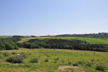 LCT 3A A typical view of rolling farmland, interspersed with small tracts of woodland and conifer plantation.