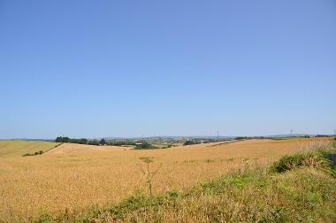 LCT 3A View towards South Molton across gently undulating arable fields.