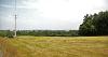 DCA 65: A distant view of Merton with its square church tower from north of Petrockstowe near Marland Moor, over a recently cut hay field surrounded by dense woodland.