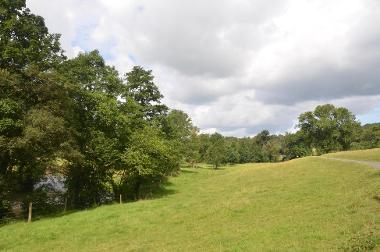 LCT 3C Wood pasture and parkland at King’s Nympton.