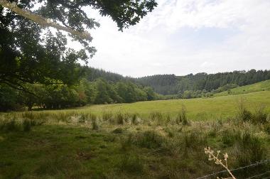 LCT 3D A typical wooded valley north-west of Molland, with conifer plantation of the valley sides.