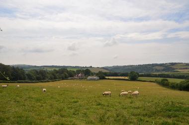 LCT 3D Hedge-bound pastoral fields in the Bray valley near Little Bray.