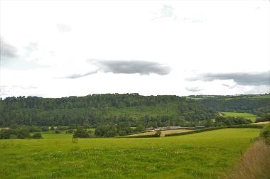 LCT 3G Sloping pasture fields and wooded valley slopes of the Taw valley.