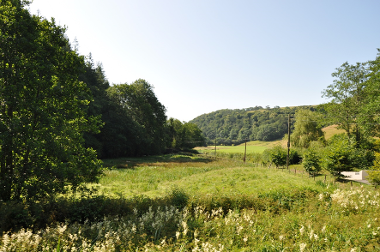 LCT 3H Small scale marshy pasture on the valley floor of the River Yeo.