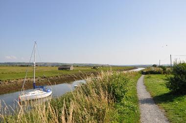 LCT 4A The River Caen (a tributary of the River Taw), with cattle-grazed marshland along its banks.