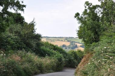 LCT 4C Steep, narrow combe road enclosed by trees and tall hedgebanks