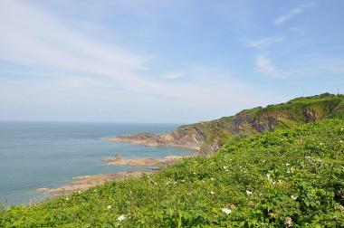 LCT 4H Cliffs at Hele Bay, north-east of Ilfracombe.