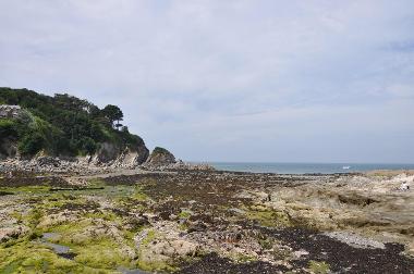 LCT 4I Exposed bedrock and Intertidal pools at Lee Bay.