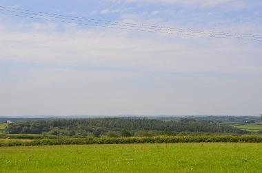 LCT 5A View south-west towards Moortown conifer plantation, with the profile of Bodmin Moor in distant views on the skyline. 