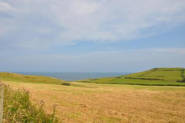 LCT 5B View across rolling pastoral farmland towards Cornborough Cliffs.