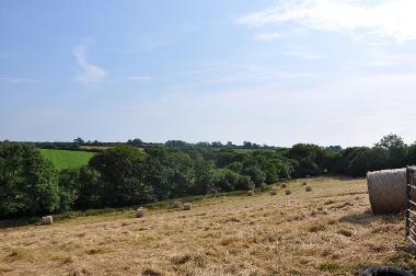 LCT 5B A typical view of medium-sized fields sloping towards a small wooded stream valley (a tributary of the River Yeo).