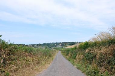 LCT 5C Straight single-track road bound by tall grassy Devon hedges.