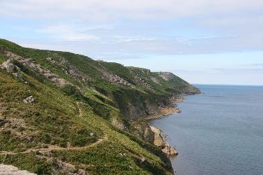 LCT 6 Vegetated cliff slopes with rocky coves on the eastern side of the island.