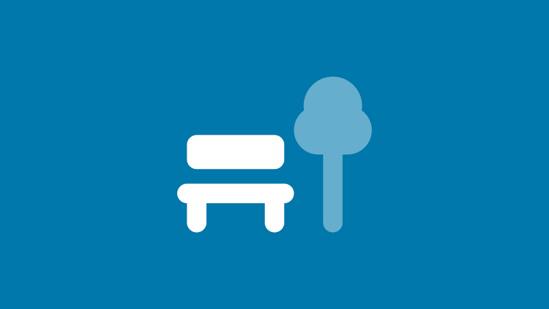 Bench and tree