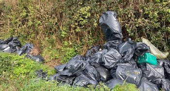 Photo of many black bags that have been dumped against a hedge