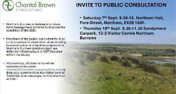 Consultation event poster