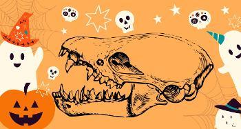 Orange graphic with a dinosaur skull in the middle and cartoon ghosts, skulls and pumpkins around it