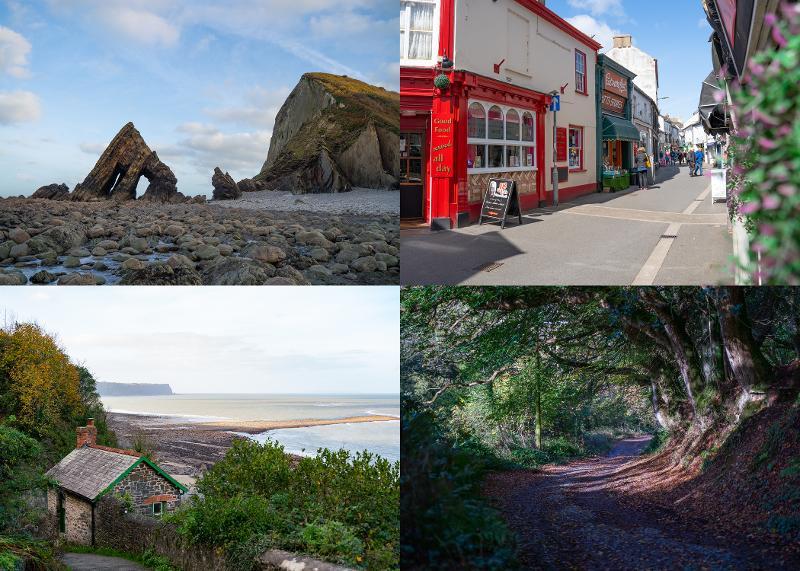 Collage of 4 images of different locations around Torridge