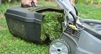 Picture of someone taking the back off a lawn mower, showing all the cut grass inside