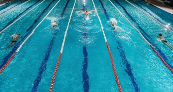 Image of people swimming in multiple lanes of a pool