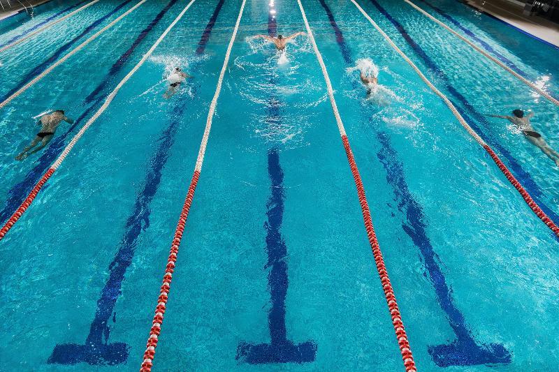Image of people swimming in multiple lanes of a pool