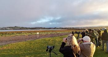 Picture of people with binoculars spotting birds