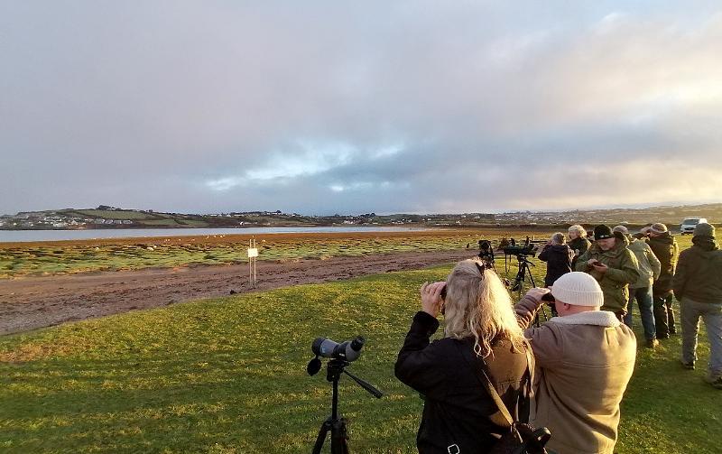 Picture of people with binoculars spotting birds