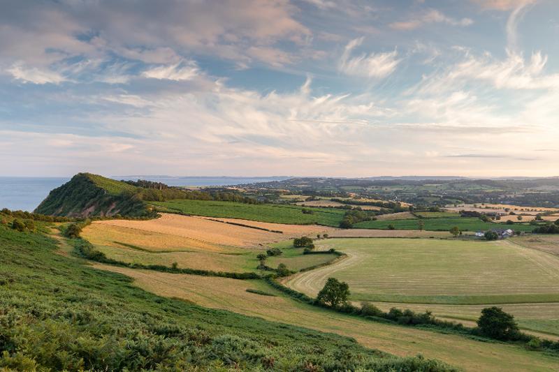 Scenic view across fields with cloudy blue sky