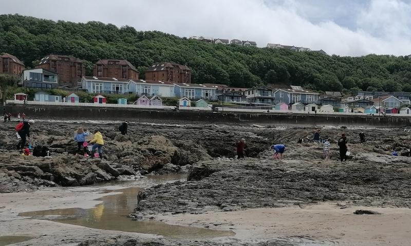 Group of children with buckets looking into rocks at Westward Ho! as part of a rockpooling activity