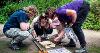 Group of people huddled over a tray looking at animals and organisms inside it