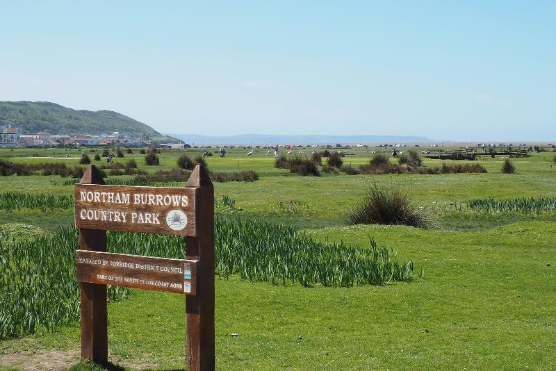 Northam Burrows Spring 2026