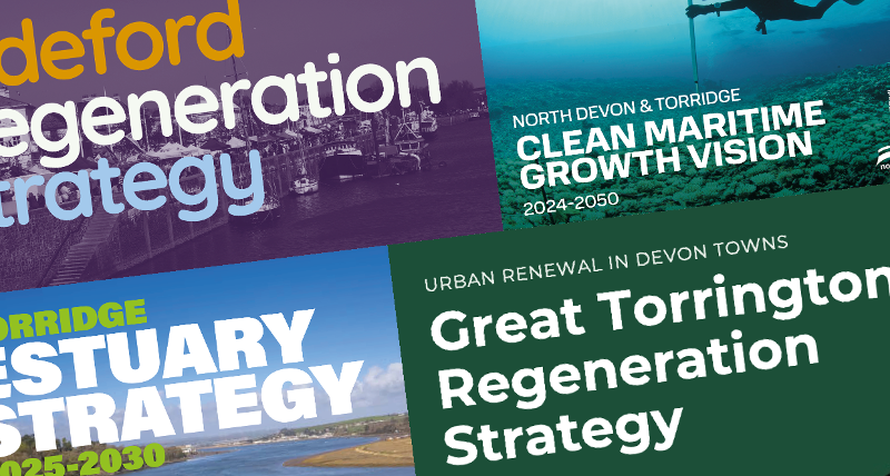 Strategy and Document button leading to the strategies that form part of the ED work at TDC